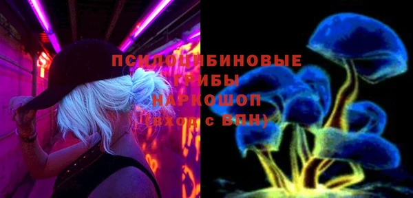 индика Бежецк