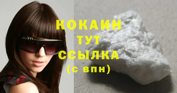 индика Бежецк