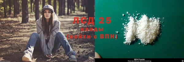 индика Бежецк