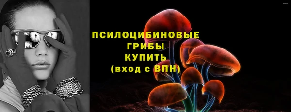 индика Бежецк
