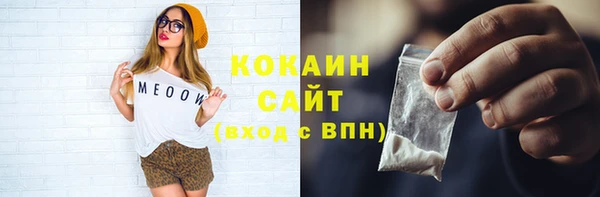 индика Бежецк