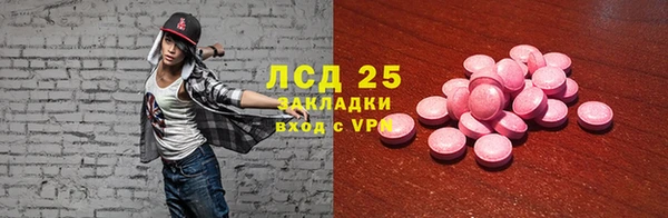индика Бежецк