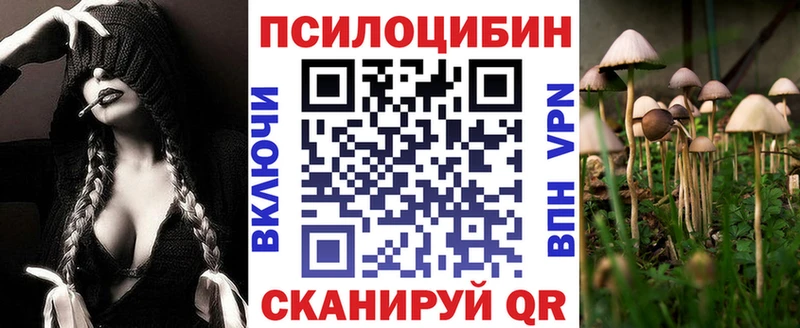 Галлюциногенные грибы Psilocybe  Иннополис 