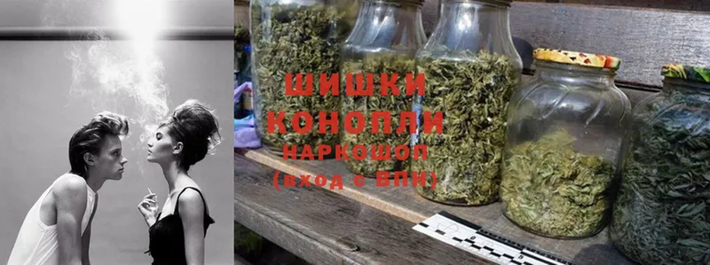 Конопля OG Kush  Иннополис 