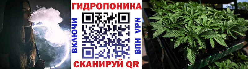 Каннабис планчик Иннополис